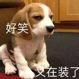 辛辣大母鹅
