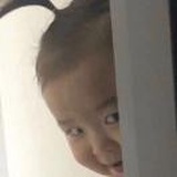 来都来了