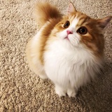 MissBurgundy