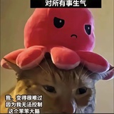 幸运霉宝🧣