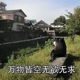 我该说什么好呢