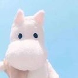 A  🥕 向日葵的信