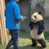 豆友214850977