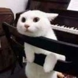 尺玉