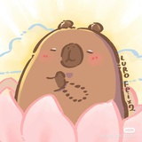 匿名网友