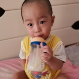 江城小金