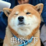 就很酷