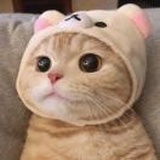 小七