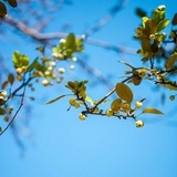 海鲜好吃嘌呤高