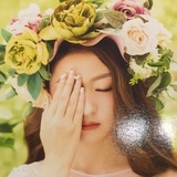 藤下的秋千