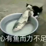 江江江