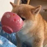 五角钱的辣条呀