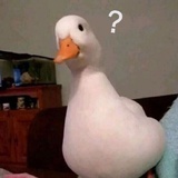 鸡腿大仙