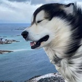 人间正道是沧桑