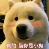 路过的一只