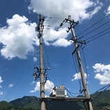立秋过后