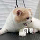 别惹你爹