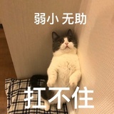 浅色微笑
