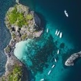 凤凰无双
