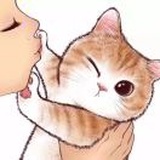 禾花🐱
