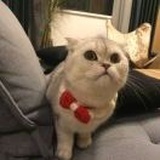 你看起来很好吃