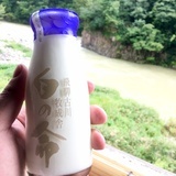 白洛