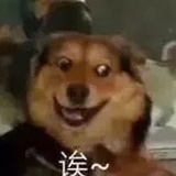 小仙女