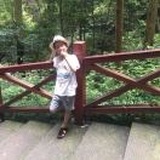 茂茂
