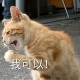 芋泥