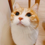豆友215265915