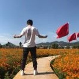 笑若扶风