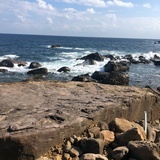 豆庆春夏秋冬风
