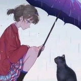 鱼缸里的鱼--