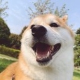 闰土