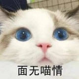 睡觉💤最重要