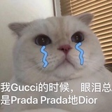 带完牙套再出道