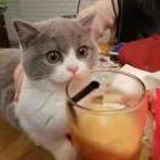 孜然炖虾