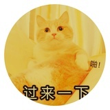 皮皮易中天