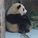 八点十六分