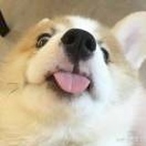 風