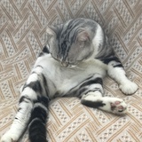 开心吃冰