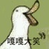 无人应答
