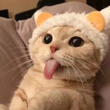 🌝