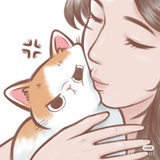 家有帅猫
