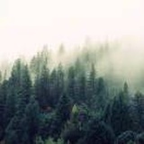 rainsclear