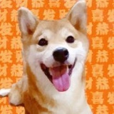 旺柴理个财