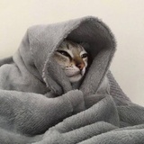 Sebun