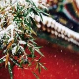 惟愿我心似春风