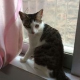 两只眼睛一张嘴