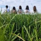 橘柚橙